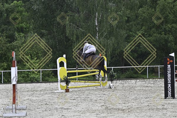 Fränkische Meisterschaft - Prüfung 7, Springpr. Kl. L - Image 55