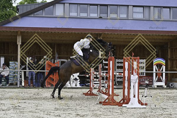Fränkische Meisterschaft - Prüfung 7, Springpr. Kl. L - Image 56
