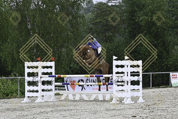 Fränkische Meisterschaft - Prüfung 18, Springpr. Kl. M* - Image 70