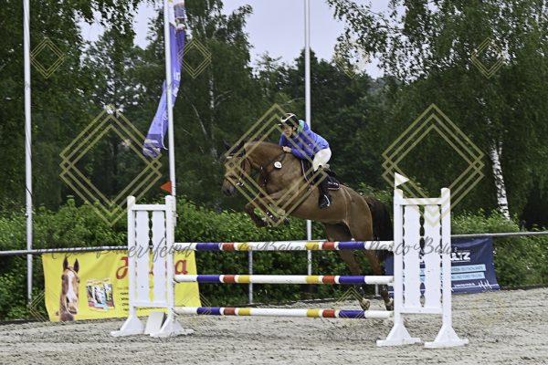 Fränkische Meisterschaft - Prüfung 18, Springpr. Kl. M* - Image 71