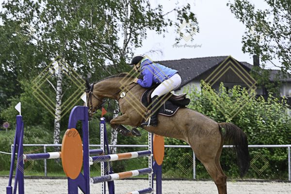 Fränkische Meisterschaft - Prüfung 18, Springpr. Kl. M* - Image 72