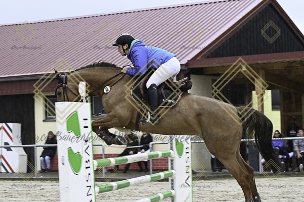 Fränkische Meisterschaft - Prüfung 18, Springpr. Kl. M* - Image 73
