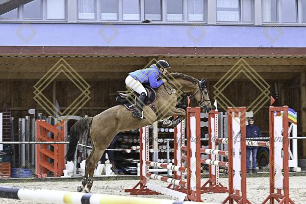 Fränkische Meisterschaft - Prüfung 18, Springpr. Kl. M* - Image 74