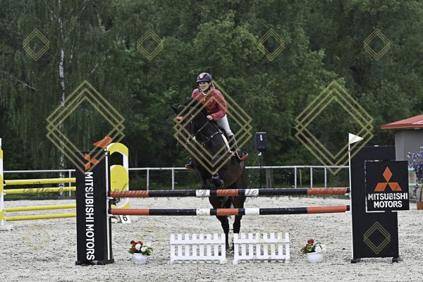 Fränkische Meisterschaft - Prüfung 19, Springpr. Kl. L - Image 70