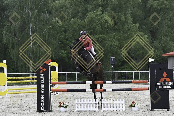 Fränkische Meisterschaft - Prüfung 19, Springpr. Kl. L - Image 71