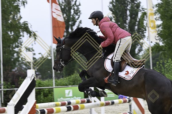 Fränkische Meisterschaft - Prüfung 19, Springpr. Kl. L - Image 72