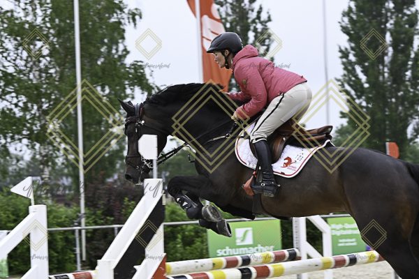 Fränkische Meisterschaft - Prüfung 19, Springpr. Kl. L - Image 73