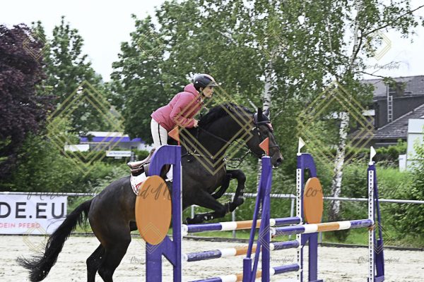 Fränkische Meisterschaft - Prüfung 19, Springpr. Kl. L - Image 76