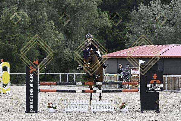 Fränkische Meisterschaft - Prüfung 19, Springpr. Kl. L - Image 77