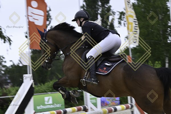 Fränkische Meisterschaft - Prüfung 19, Springpr. Kl. L - Image 78