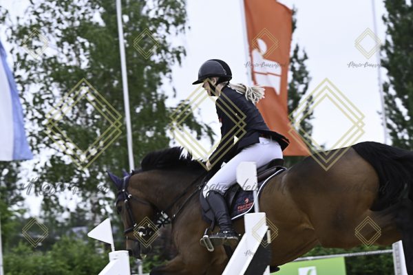 Fränkische Meisterschaft - Prüfung 19, Springpr. Kl. L - Image 80