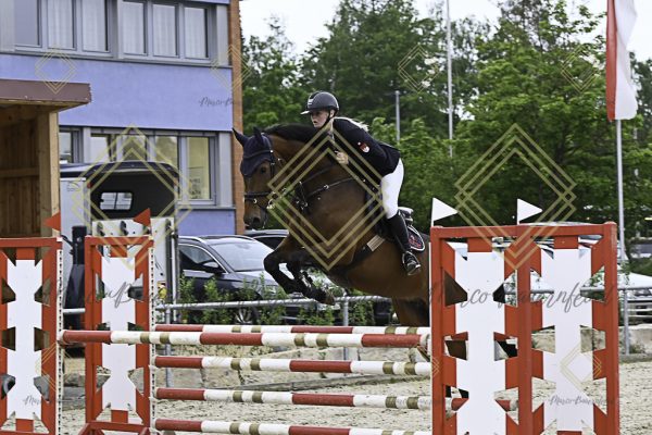 Fränkische Meisterschaft - Prüfung 19, Springpr. Kl. L - Image 81