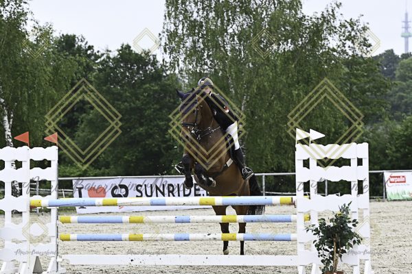 Fränkische Meisterschaft - Prüfung 19, Springpr. Kl. L - Image 82
