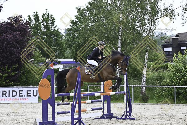 Fränkische Meisterschaft - Prüfung 19, Springpr. Kl. L - Image 83