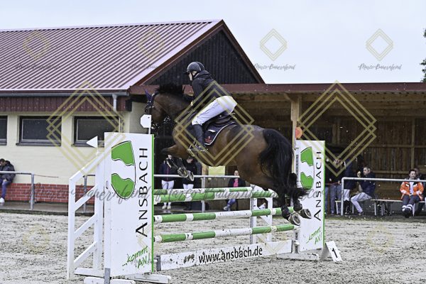 Fränkische Meisterschaft - Prüfung 7, Springpr. Kl. L - Image 59