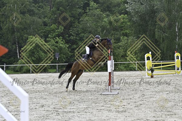Fränkische Meisterschaft - Prüfung 7, Springpr. Kl. L - Image 60