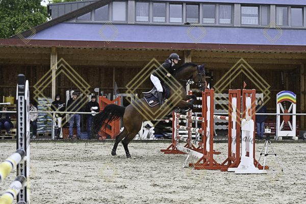 Fränkische Meisterschaft - Prüfung 7, Springpr. Kl. L - Image 61
