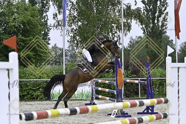 Fränkische Meisterschaft - Prüfung 7, Springpr. Kl. L - Image 62