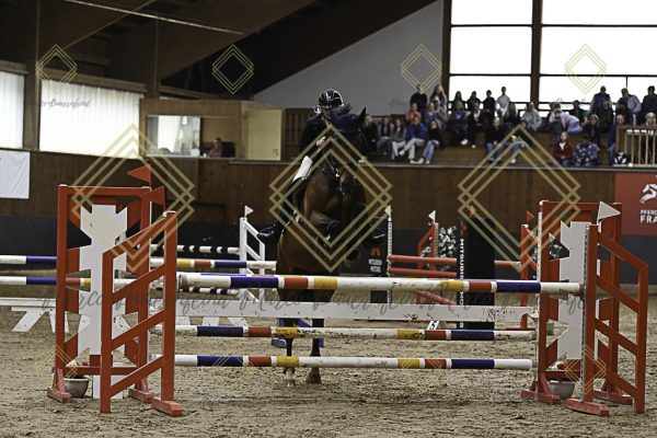Fränkische Meisterschaft - Prüfung 12, Springpr. Kl. L - Image 96