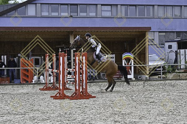 Fränkische Meisterschaft - Prüfung 10, Springpr. Kl. L - Image 89