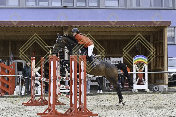 Fränkische Meisterschaft - Prüfung 10, Springpr. Kl. L - Image 95