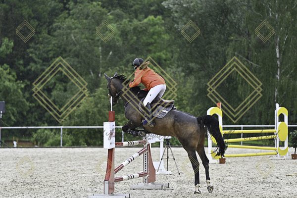 Fränkische Meisterschaft - Prüfung 10, Springpr. Kl. L - Image 96