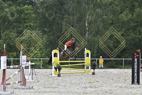 Fränkische Meisterschaft - Prüfung 10, Springpr. Kl. L - Image 97