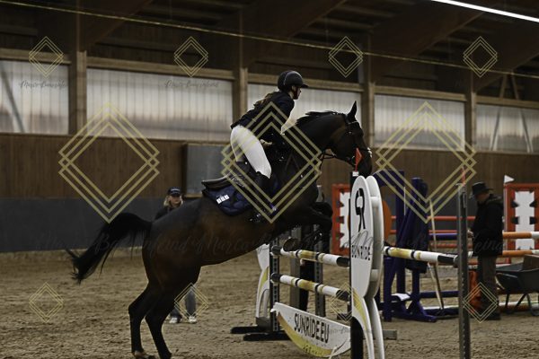 Fränkische Meisterschaft - Prüfung 11, Springpr. Kl. L - Image 71