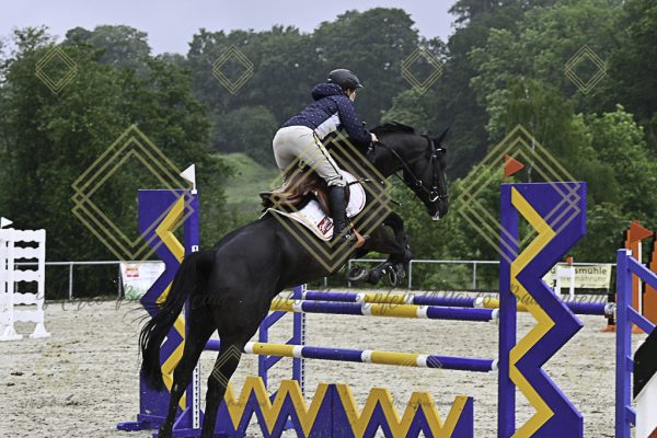 Fränkische Meisterschaft - Prüfung 18, Springpr. Kl. M* - Image 75