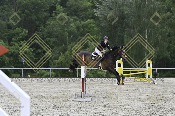 Fränkische Meisterschaft - Prüfung 7, Springpr. Kl. L - Image 64