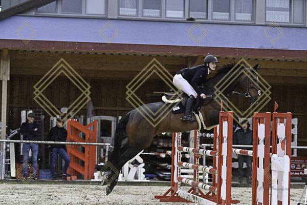 Fränkische Meisterschaft - Prüfung 7, Springpr. Kl. L - Image 65