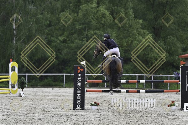 Fränkische Meisterschaft - Prüfung 7, Springpr. Kl. L - Image 67
