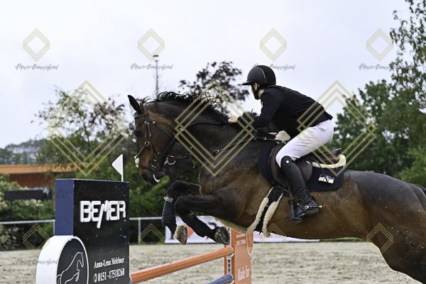 Fränkische Meisterschaft - Prüfung 7, Springpr. Kl. L - Image 68