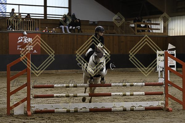 Fränkische Meisterschaft - Prüfung 16, Ponystilpr. Kl. E - Image 6
