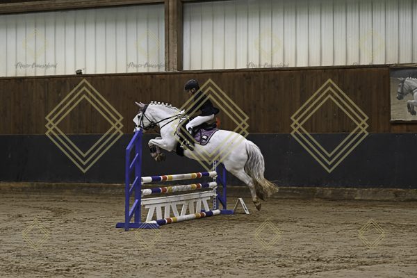 Fränkische Meisterschaft - Prüfung 16, Ponystilpr. Kl. E - Image 8