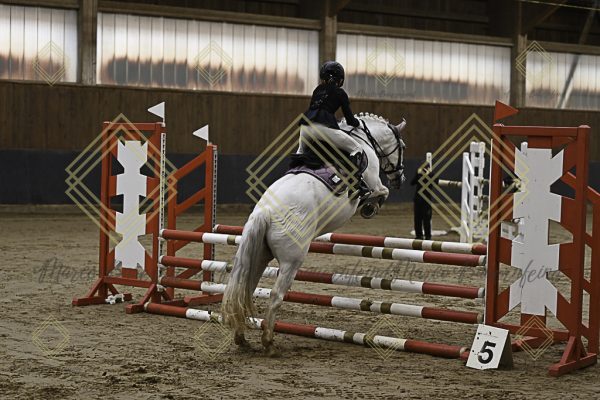 Fränkische Meisterschaft - Prüfung 16, Ponystilpr. Kl. E - Image 9