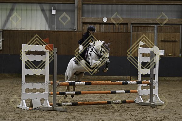 Fränkische Meisterschaft - Prüfung 16, Ponystilpr. Kl. E - Image 10