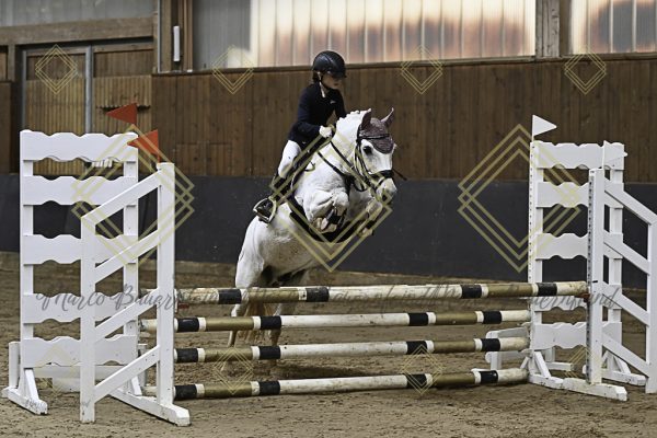 Fränkische Meisterschaft - Prüfung 17, Ponystilpr. Kl. E - Image 5