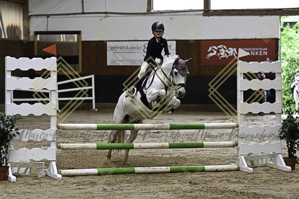 Fränkische Meisterschaft - Prüfung 17, Ponystilpr. Kl. E - Image 6