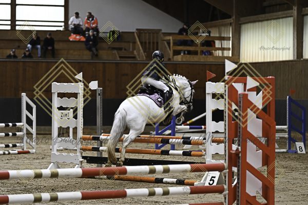 Fränkische Meisterschaft - Prüfung 17, Ponystilpr. Kl. E - Image 7