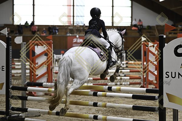 Fränkische Meisterschaft - Prüfung 17, Ponystilpr. Kl. E - Image 9