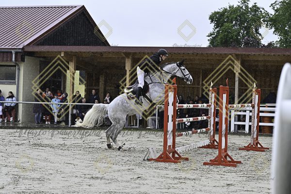 Fränkische Meisterschaft - Prüfung 1, Springpr. Kl. S* - Image 65