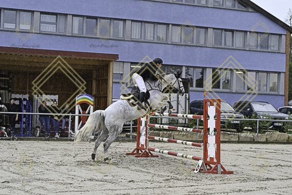 Fränkische Meisterschaft - Prüfung 1, Springpr. Kl. S* - Image 66