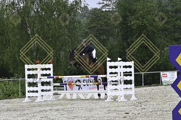 Fränkische Meisterschaft - Prüfung 18, Springpr. Kl. M* - Image 82