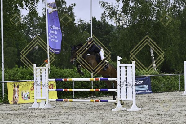 Fränkische Meisterschaft - Prüfung 18, Springpr. Kl. M* - Image 83