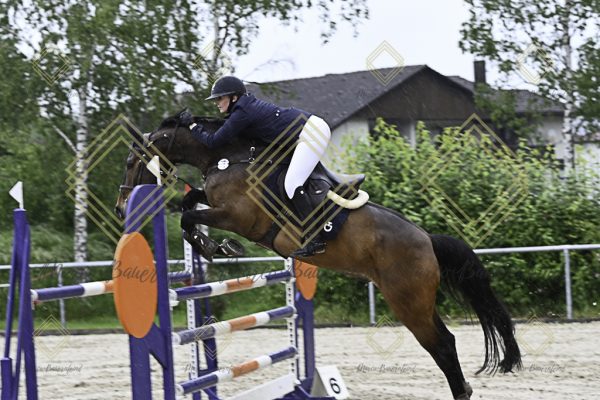 Fränkische Meisterschaft - Prüfung 18, Springpr. Kl. M* - Image 84