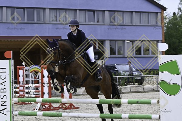 Fränkische Meisterschaft - Prüfung 20, Springpr.Kl.A** - Image 37