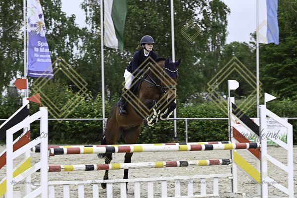 Fränkische Meisterschaft - Prüfung 20, Springpr.Kl.A** - Image 40