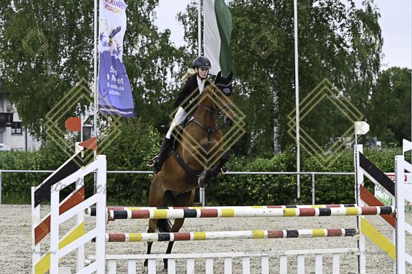 Fränkische Meisterschaft - Prüfung 20, Springpr.Kl.A** - Image 46