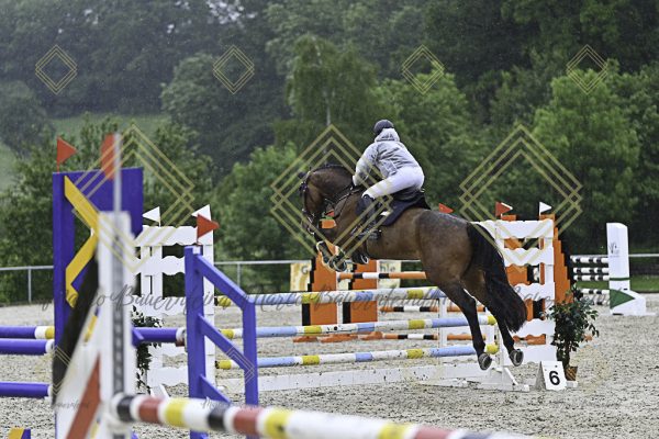 Fränkische Meisterschaft - Prüfung 10, Springpr. Kl. L - Image 100